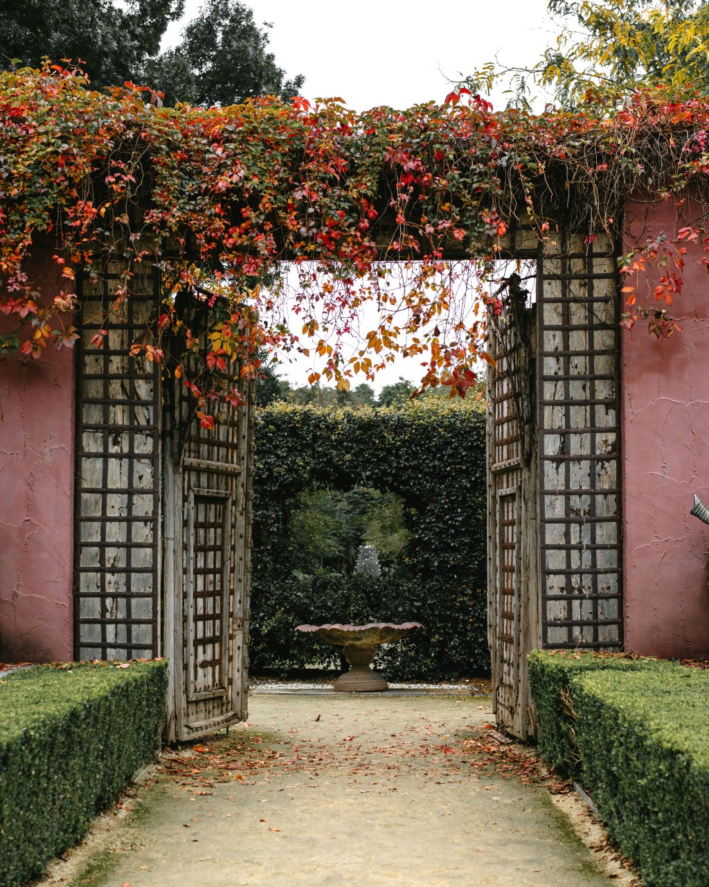 “Sherry’s Migraine Drops By Unannounced” by Kathryn&nbsp;Silver-Hajo