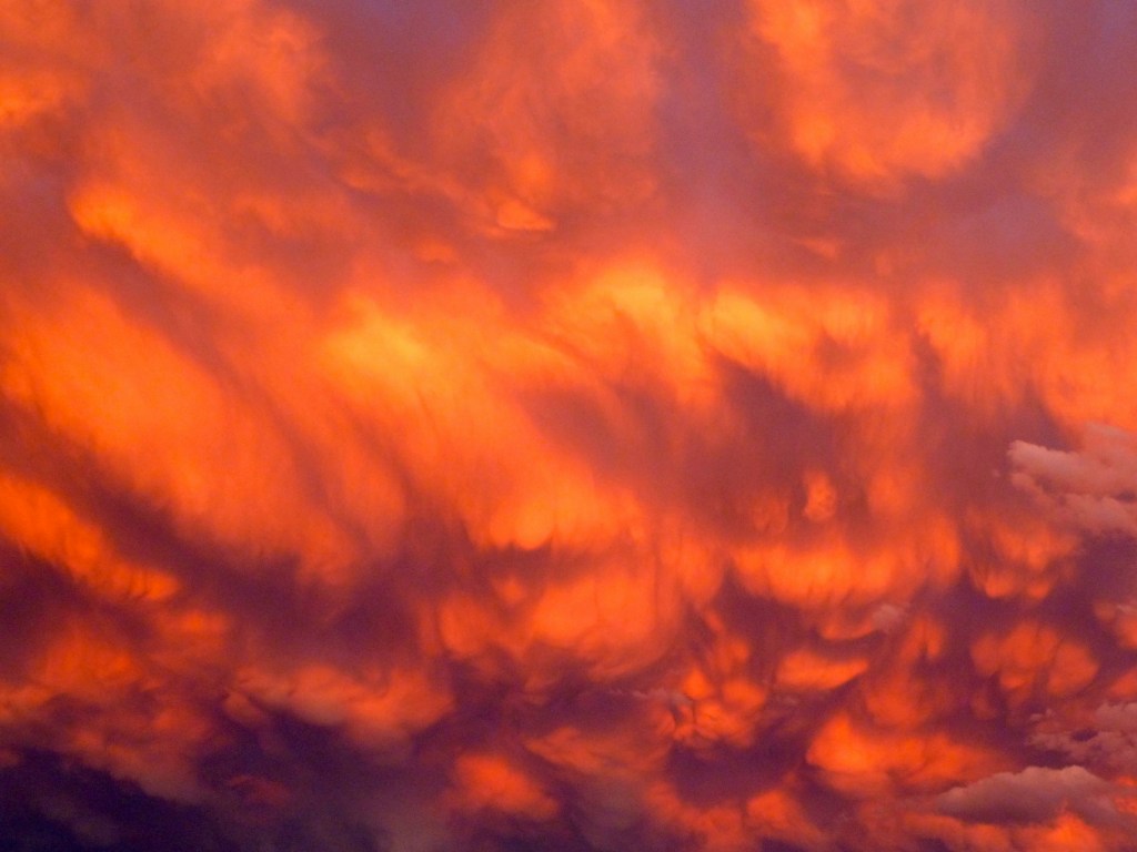 Image is a color photograph of a fiery sunset in reds and purples; title card for the new prose poem, “Ladies Prefer Blonds: Fragments of an Undoing,” by Ali McKenzie-Murdoch.