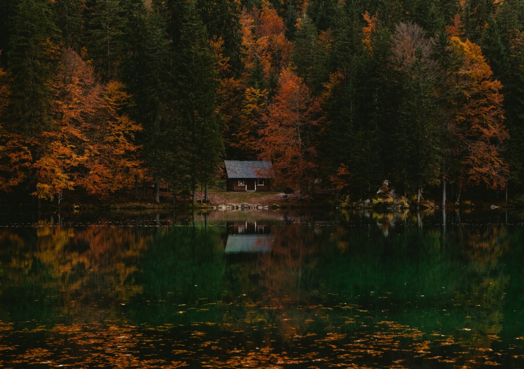 Image is a color photograph of a cabin on a lake during autumn; title card for the new flash essay, “Liturgist of the Land: A Single Work Completed,” by Gregory Ormson.