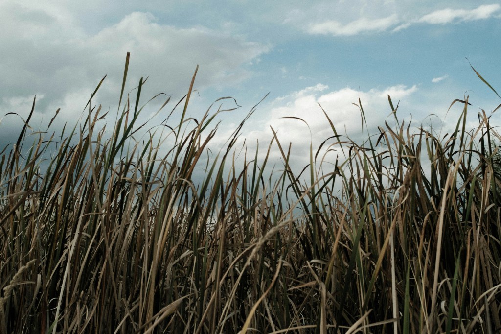 “Drop by Drop” by Melissa Llanes&nbsp;Brownlee