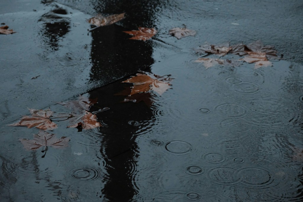 Image is a color photograph of fallen brown leaves in a rain puddle; title card for the new flash fiction, "Carrion," by Oliver Cubillos.